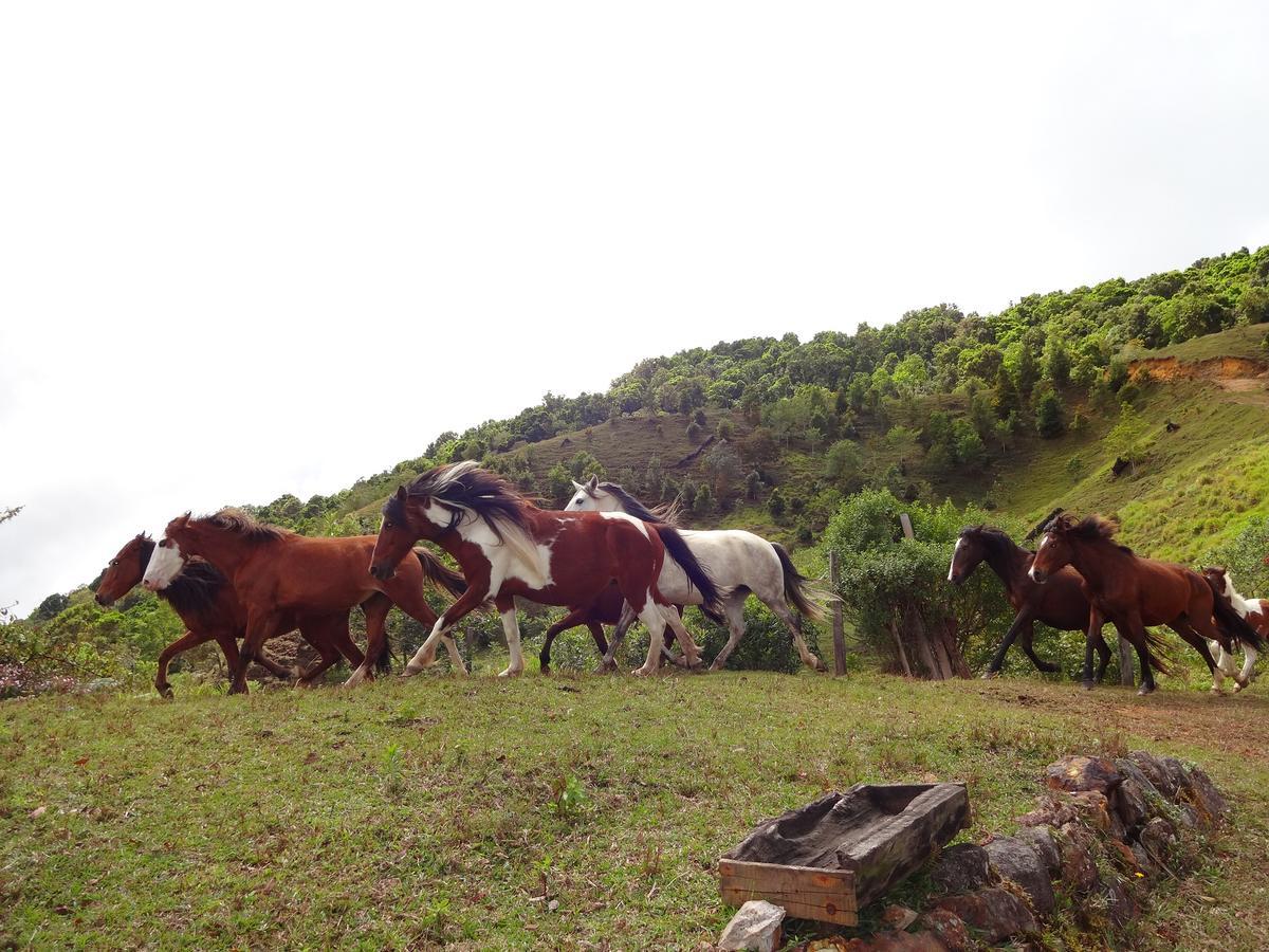 Hotel Roca Dura Herradura  Luaran gambar